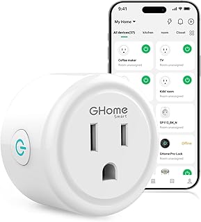 GHome Smart Plug WiFi Plugs Work