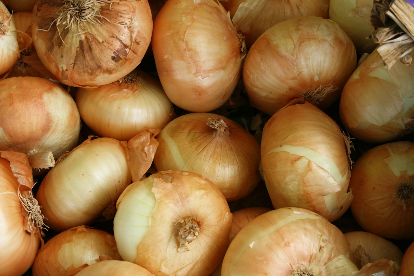 How to Chop an Onion Without Crying — 7 Tricks That Work