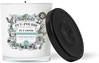 Best Selling 5 Best Air Freshener for Pet Owners in 2026